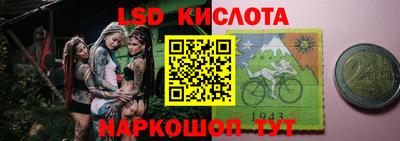 гидра Будённовск