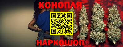 шишки Бузулук