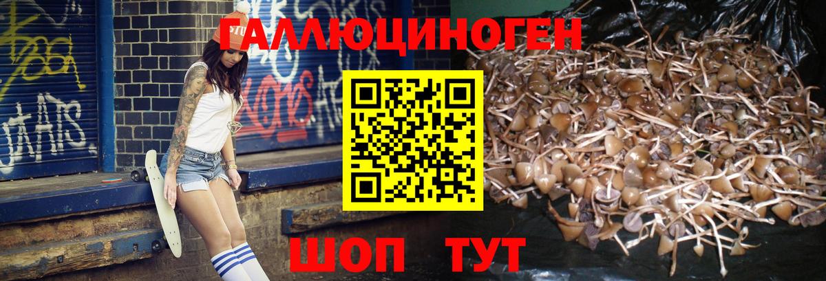 Галлюциногенные грибы прущие грибы Улан-Удэ